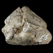 Muscovite Pseudomorph After Andalusite
