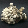 Tuberose Blobs of Aragonite