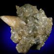 Scalenohedral Calcite Crystal