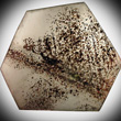 Muscovite Slice with Inclusions