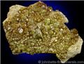 Andradite var. Topazolite from Oaxaca, Mexico