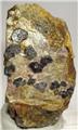 Uraninite Crystals in Matrix from Swamp #1 quarry, Topsham, Sagadahoc Co., Maine