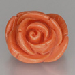 Orange Coral Rose