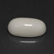 White Oval Coral