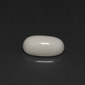 White Oval Coral