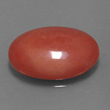 Orange-Red Coral