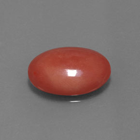 Orange-Red Coral