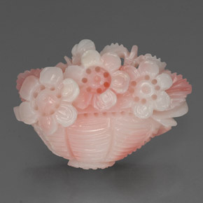 Pink and White Coral Floral