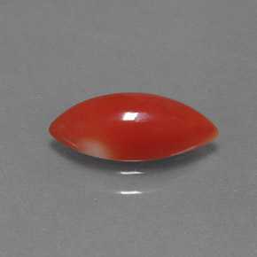 Deep Red Coral