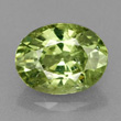 Golden-green Demantoid Garnet