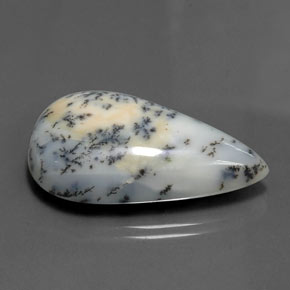 Dendritic Agate