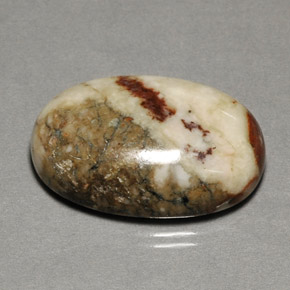 Multicolored Pattern Jasper