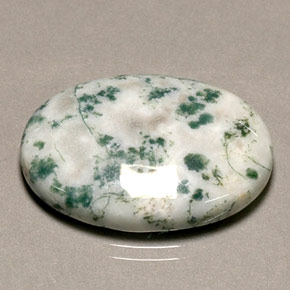 Moss Jasper