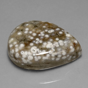 White Spotted Orbicular Jasper