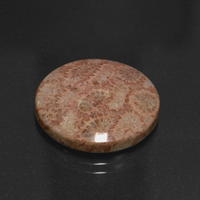 Brownish Concentric Patterned Jasper