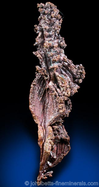 Copper Growths from Dzezkazgan, Qarqaraly (Karaganda), Kazakhstan