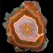 Sliced Condor Agate Nodule