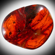 Red Amber