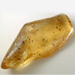 Yellow Amber with Insects