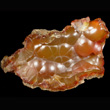 Botryoidal Carnelian