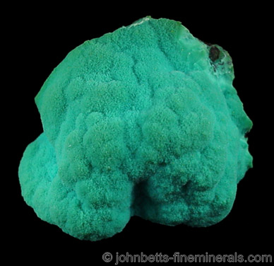 Green Chrysocolla from 79 Mine, Gila County, Arizona