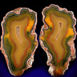 Sliced Condor Agate Nodule Matched Halves