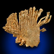 Fan Shaped Gold Formation