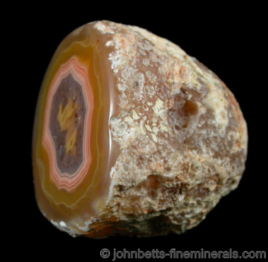 Polished Agate Nodule from Ojo Laguna, Chihuahua, Mexico