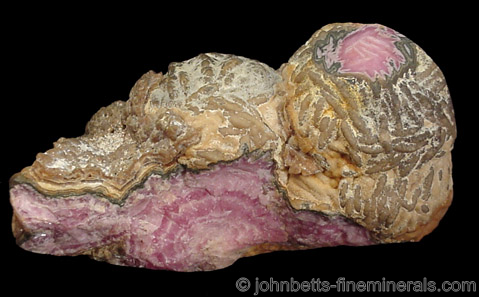 Rough Banded Rhodochrosite from Peru