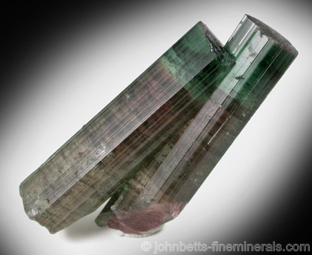 Multicolored Tourmaline from Otjua Mine, Karibib, Namibia