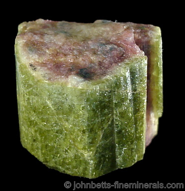 Watermelon Tourmaline from Shamrock Mine, Black Hills, South Dakota