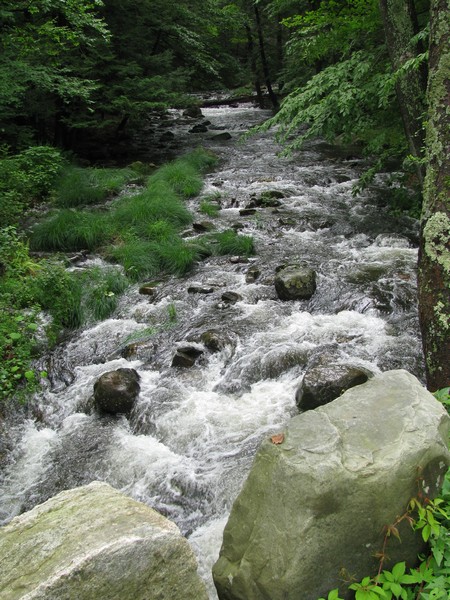 Flowing Stream