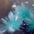 Radiating Spray of Aurichalcite Micros