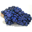 Botryoidal Azurite Cluster