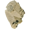 Barite Pseudomorphs after Witherite