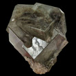 Intergrown Cubic Boracite Crystal
