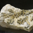 Dendritic Chalcopyrite
