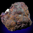 Tarnished Botryoidal Chalcopyrite