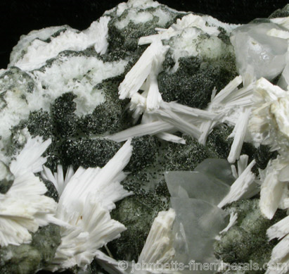 Chamosite with Natrolite