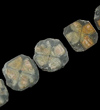 Sliced Chiastolite Set