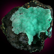 Chrysocolla Quartz on Matrix