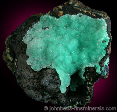 Chrysocolla Quartz on Matrix