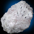 Coesite with Ellenbergerite and Pyrope