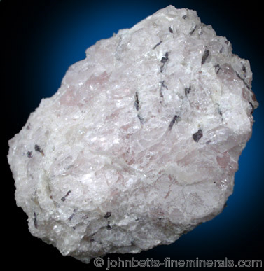 Coesite with Ellenbergerite and Pyrope