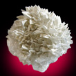 Colemanite Crystal Cluster