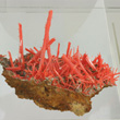 Elongated Crocoite on Matrix