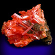 Interconnected Crocoite Needles