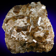 Dravite from the Type Locality
