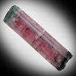 Multicolored Maine Elbaite Crystal
