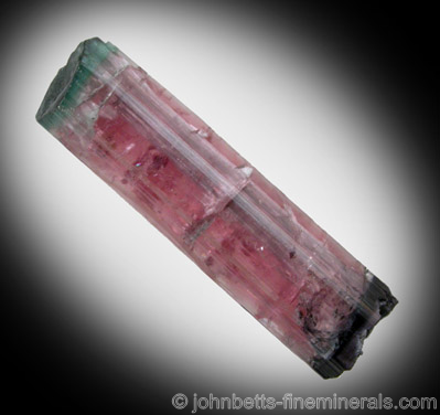 Multicolored Maine Elbaite Crystal